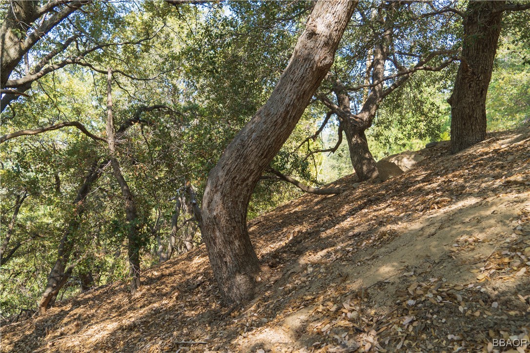 0 Chillon Drive Crestline, CA 92325 - Photo 15 of 17