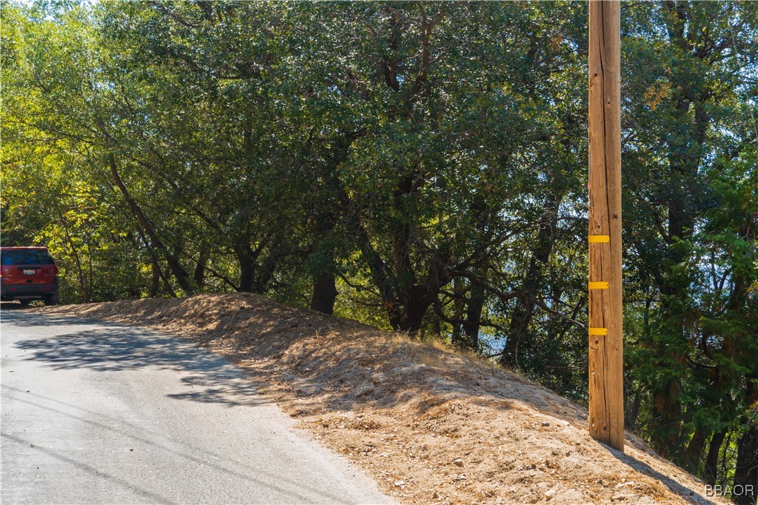 0 Chillon Drive Crestline, CA 92325 - Photo 3 of 17