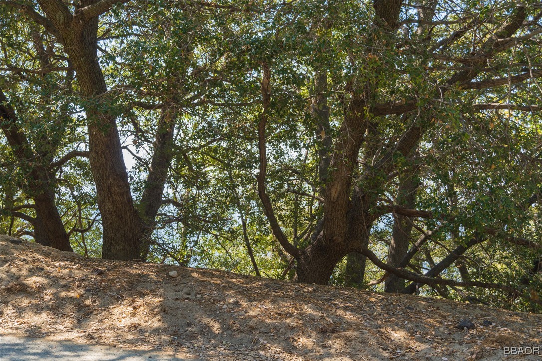 0 Chillon Drive Crestline, CA 92325 - Photo 5 of 17