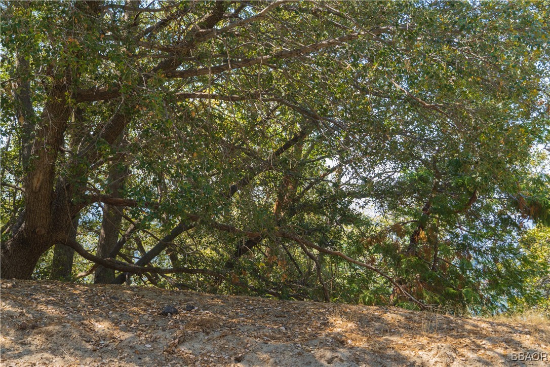 0 Chillon Drive Crestline, CA 92325 - Photo 6 of 17