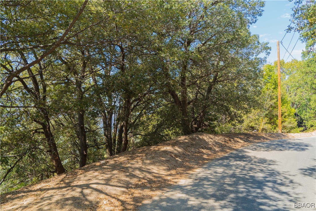 0 Chillon Drive Crestline, CA 92325 - Photo 9 of 17