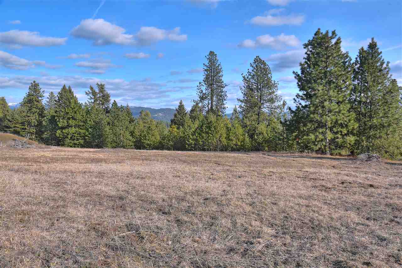 16-xxx North Sands Road Mead, WA 99021 - Photo 4 of 7