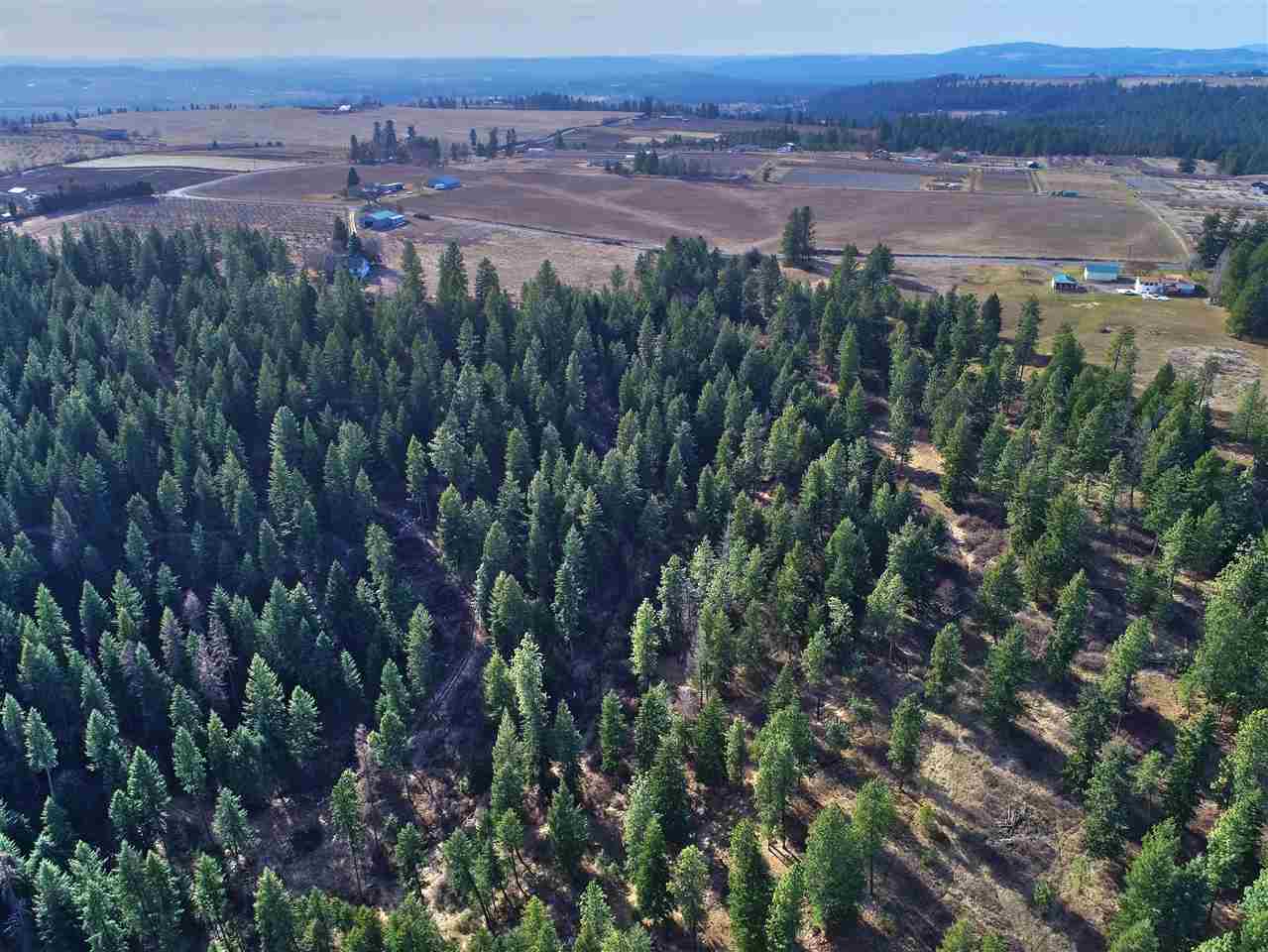 16-xxx North Sands Road Mead, WA 99021 - Photo 6 of 7