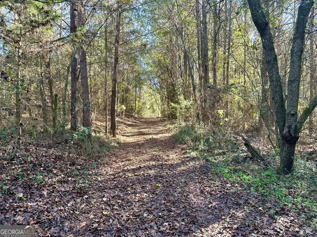 $550,000 | 0 Sheep Pasture Road, Commerce, GA 30529