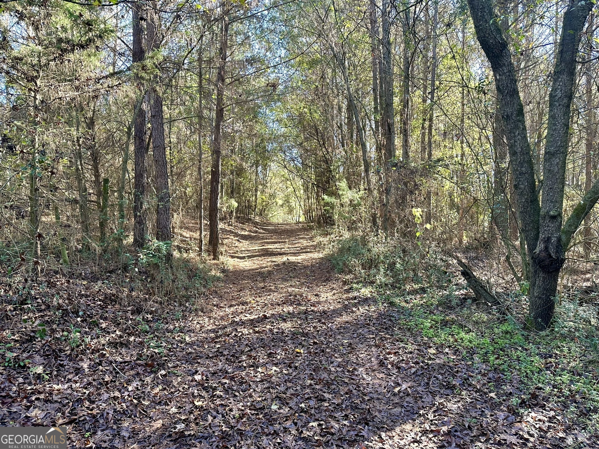 0 Sheep Pasture Road Commerce, GA 30529 - Photo 24 of 33 a view of outdoor space and trees