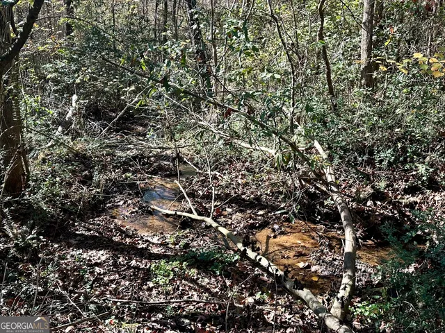 $550,000 | 0 Sheep Pasture Road, Commerce, GA 30529