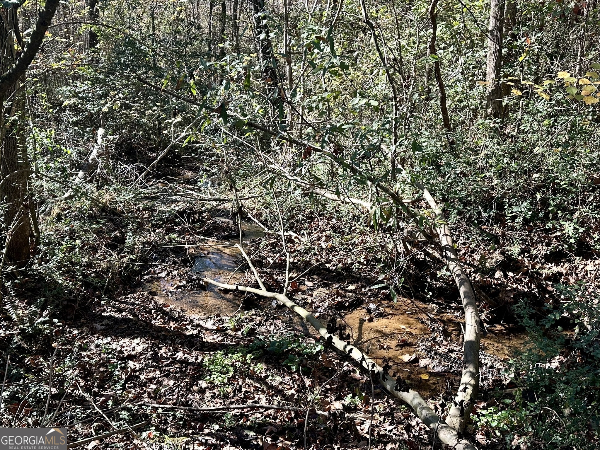 0 Sheep Pasture Road Commerce, GA 30529 - Photo 25 of 33 a view of a tree