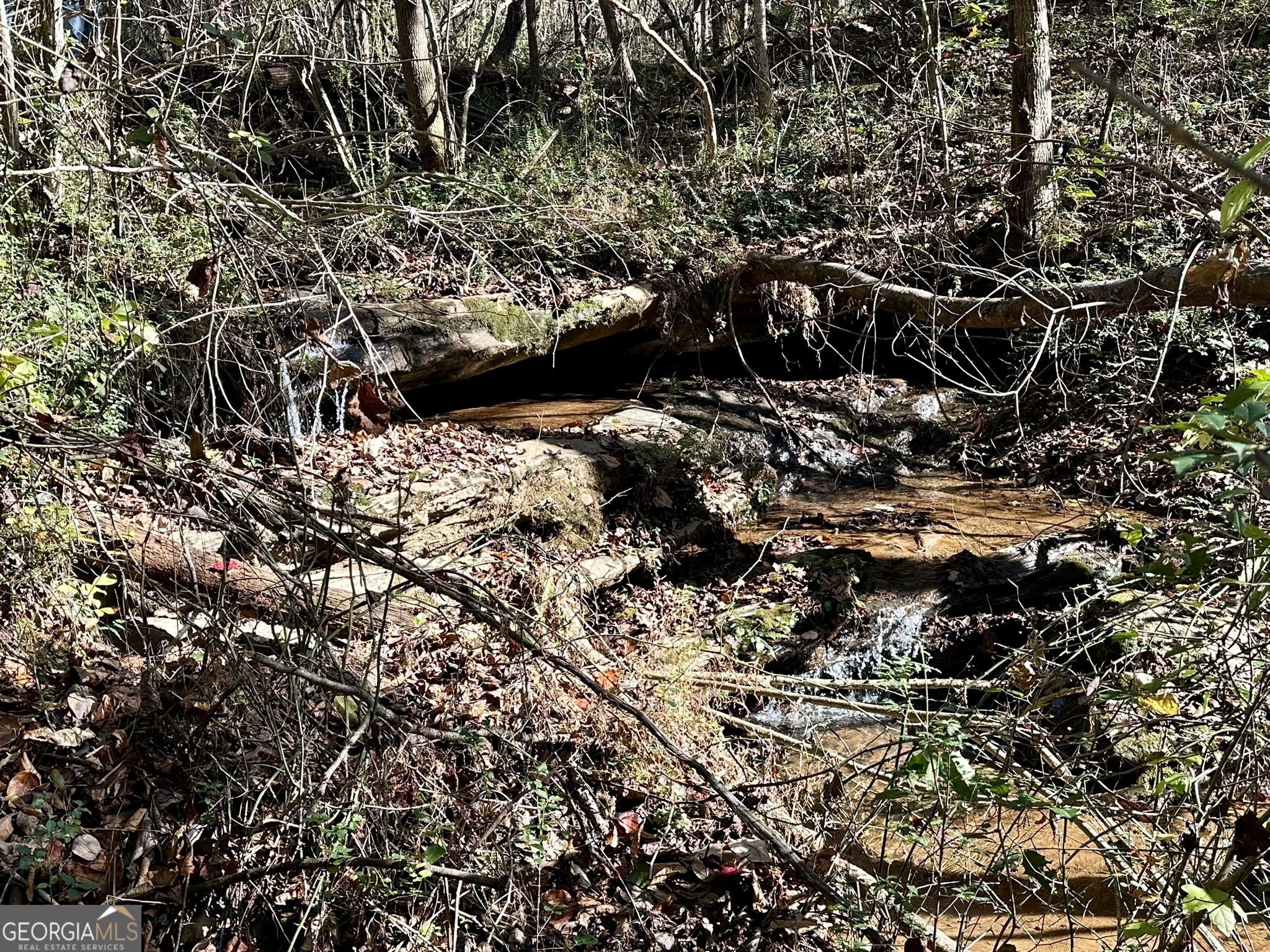 0 Sheep Pasture Road Commerce, GA 30529 - Photo 26 of 33 a view of water tree
