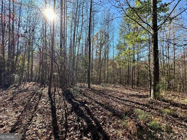 $550,000 | 0 Sheep Pasture Road, Commerce, GA 30529