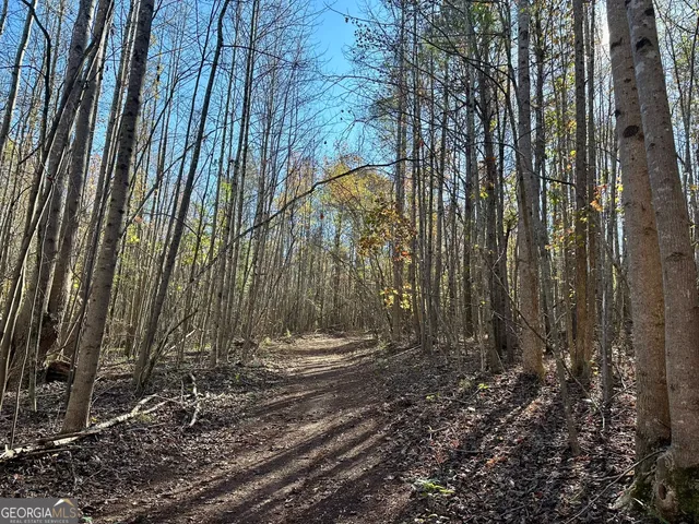 $550,000 | 0 Sheep Pasture Road, Commerce, GA 30529