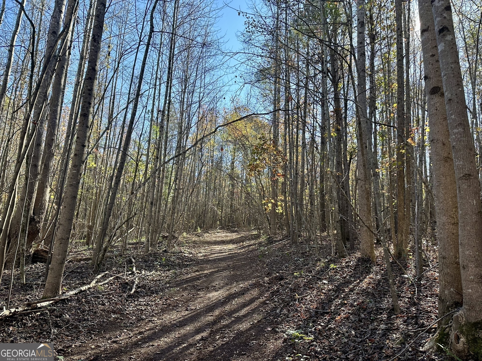 0 Sheep Pasture Road Commerce, GA 30529 - Photo 28 of 33 a backyard of a house with lots of green space