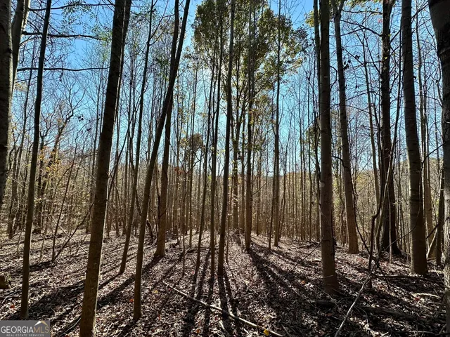 $550,000 | 0 Sheep Pasture Road, Commerce, GA 30529