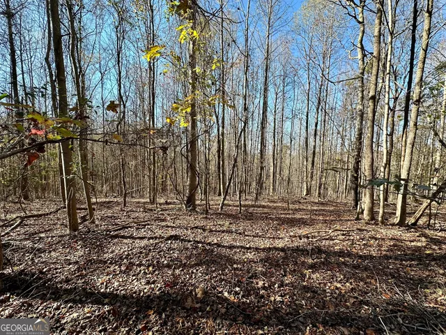 $550,000 | 0 Sheep Pasture Road, Commerce, GA 30529