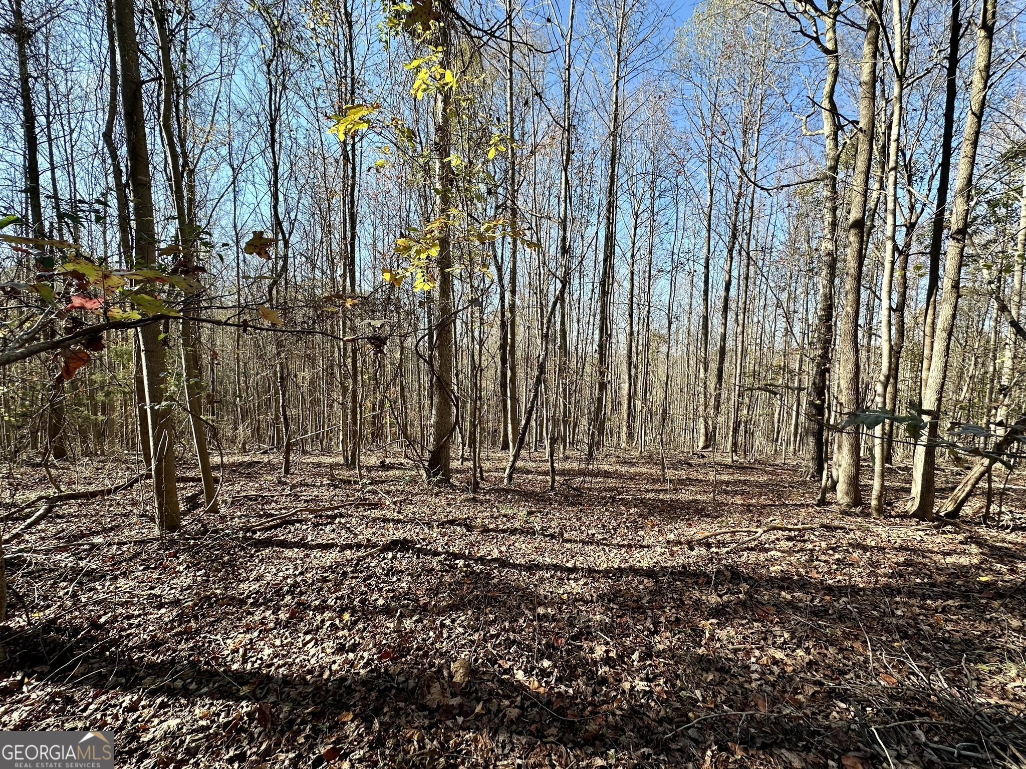 0 Sheep Pasture Road Commerce, GA 30529 - Photo 30 of 33 a view of a backyard of the house