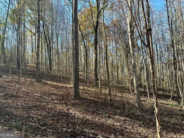 $550,000 | 0 Sheep Pasture Road, Commerce, GA 30529