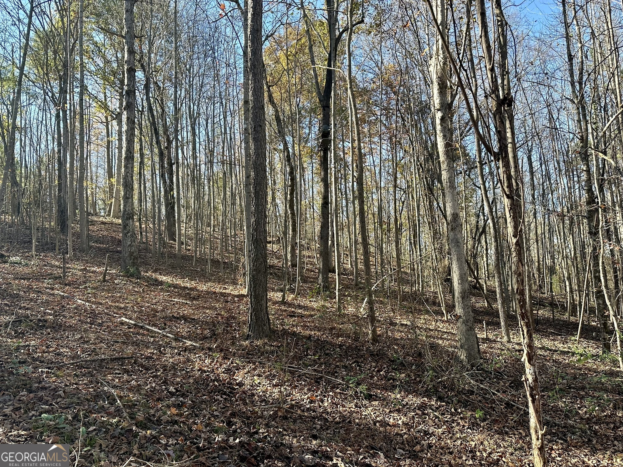 0 Sheep Pasture Road Commerce, GA 30529 - Photo 31 of 33