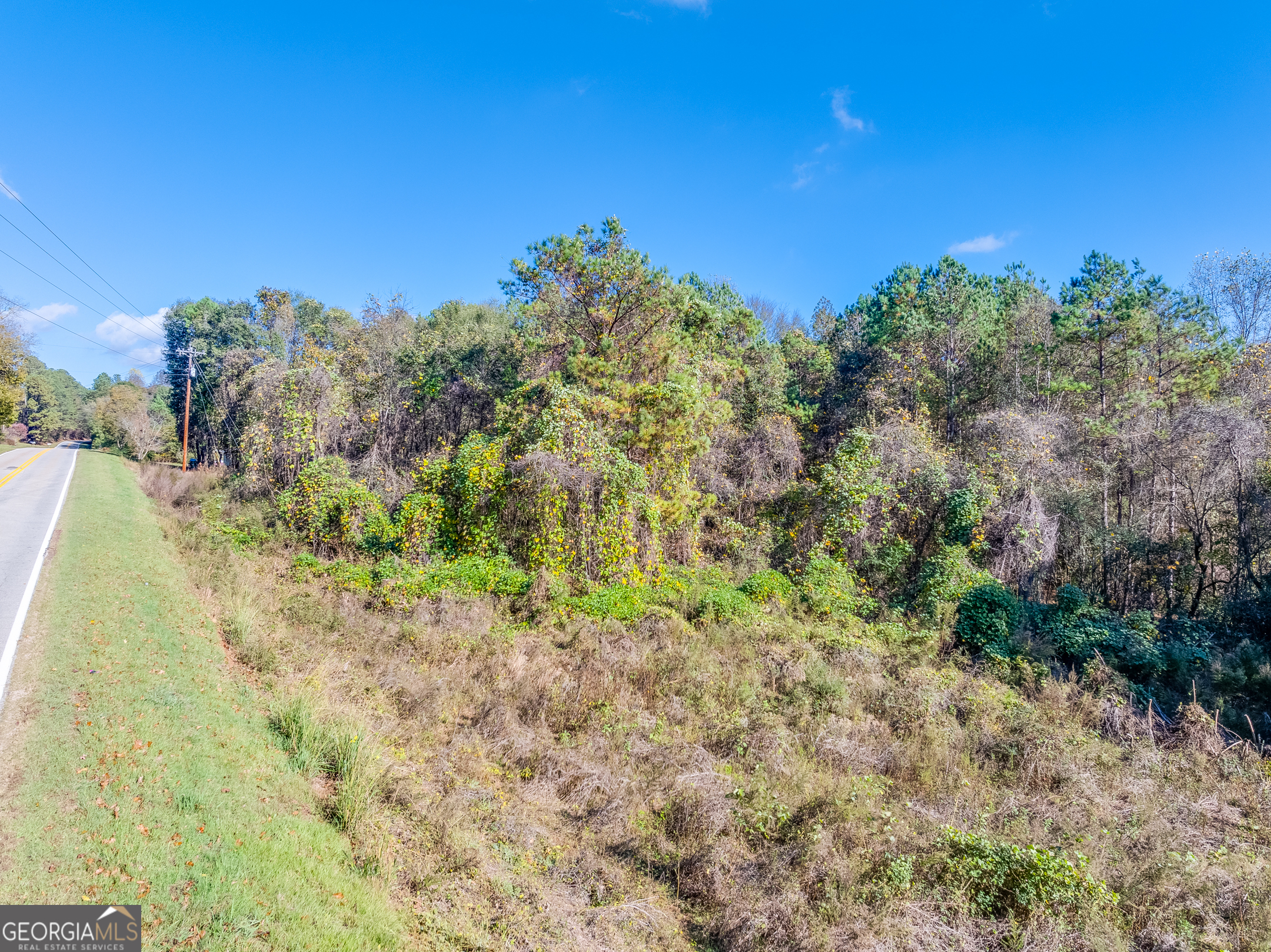 0 Sheep Pasture Road Commerce, GA 30529 - Photo 9 of 33 a view of a yard with a tree