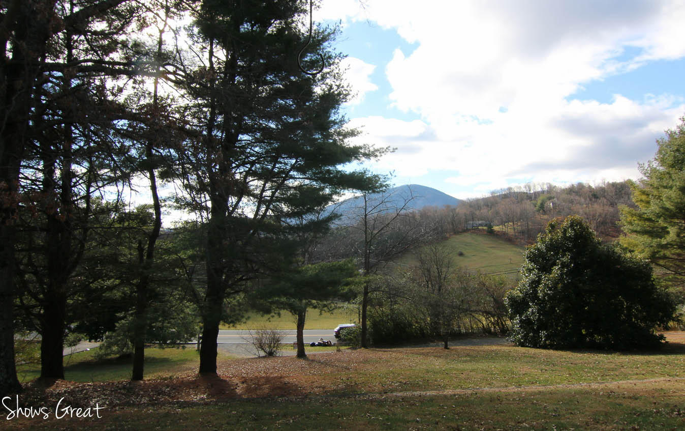 5553 Roselawn Road Roanoke, VA 24018 - Photo 4 of 40 View From Front Porch