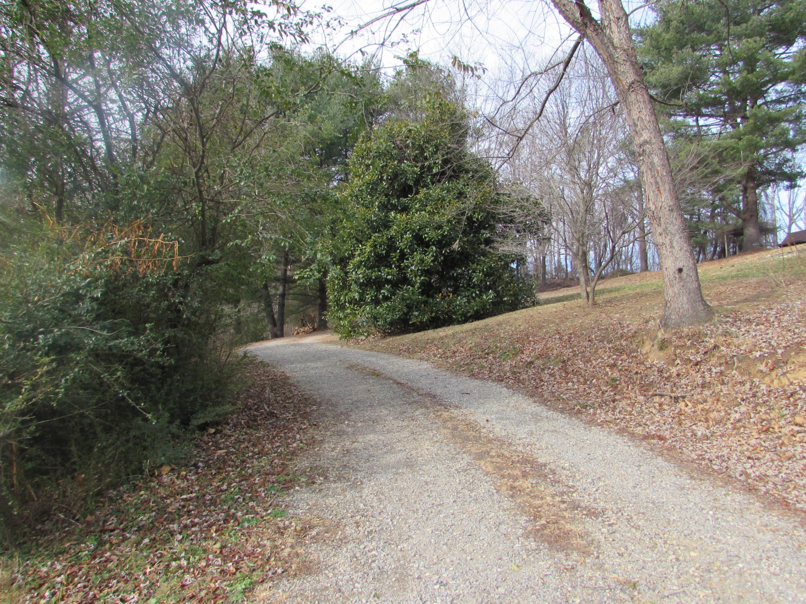 5553 Roselawn Road Roanoke, VA 24018 - Photo 7 of 40 Private Driveway Leading to Home