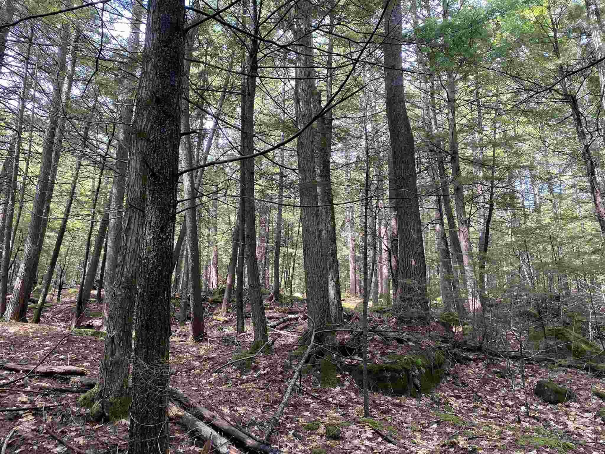 West Shore Road Bristol, NH 03222 - Photo 1 of 10