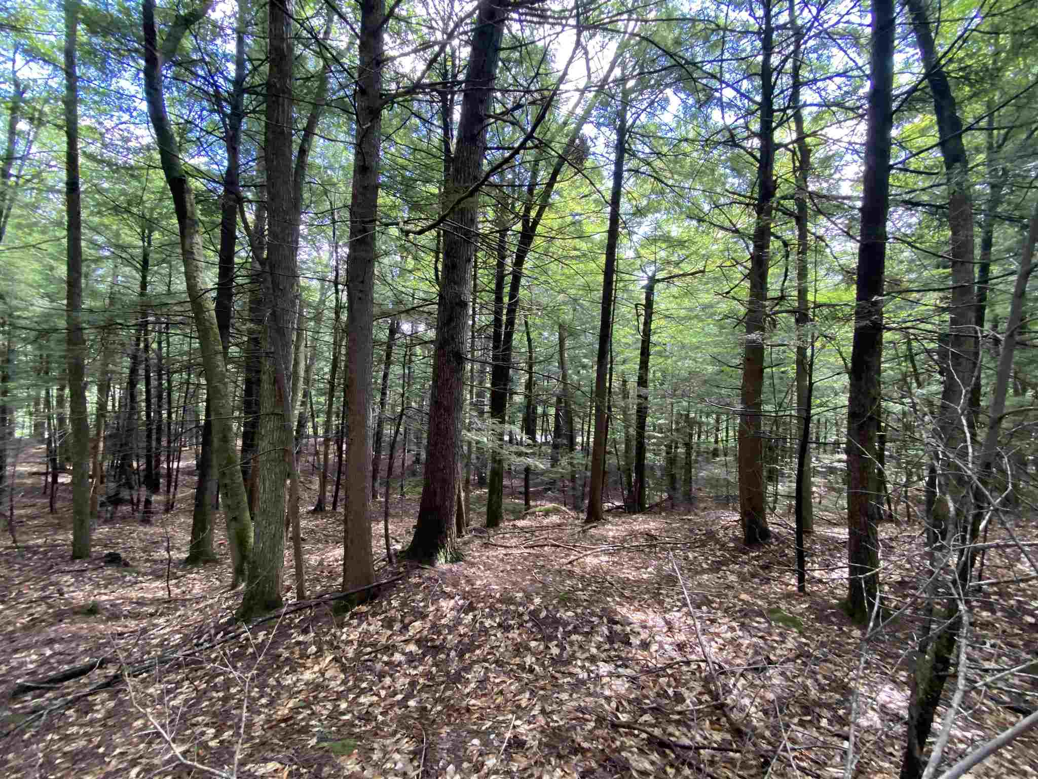 West Shore Road Bristol, NH 03222 - Photo 2 of 10