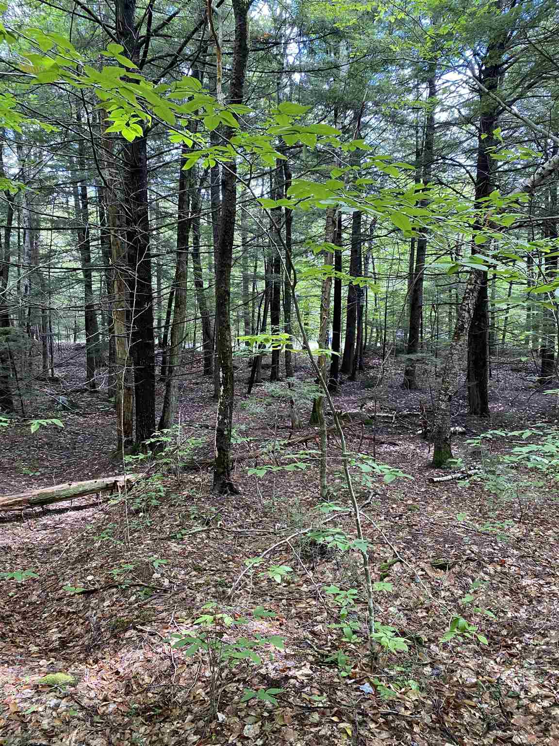 West Shore Road Bristol, NH 03222 - Photo 3 of 10