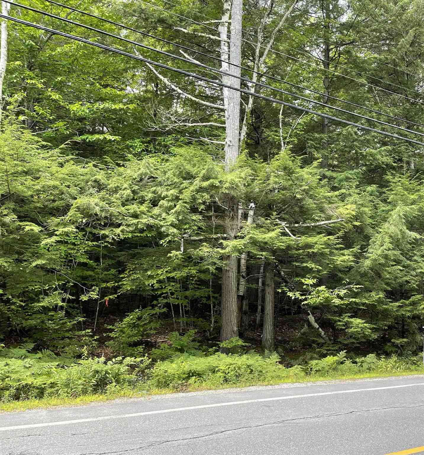 West Shore Road Bristol, NH 03222 - Photo 4 of 10