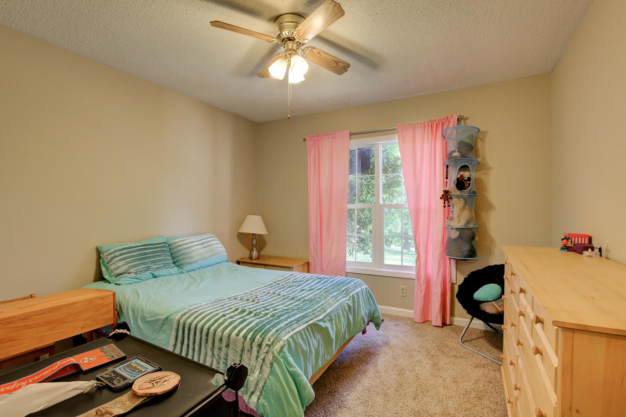 3909 Lake Road Woodlawn, TN 37191 - Photo 8 of 27 Gallery Image 8