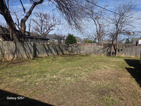 a view of a yard with large tree