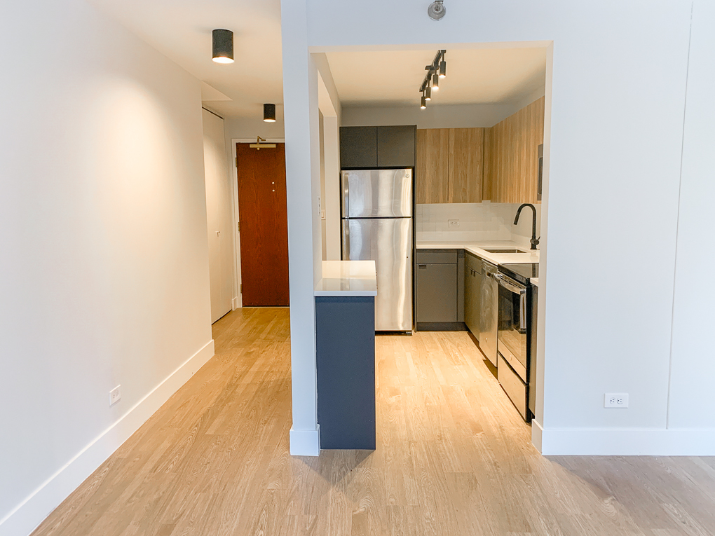 Undisclosed Address Chicago, IL 60611 - Photo 3 of 15 a view interior of the house and wooden floor