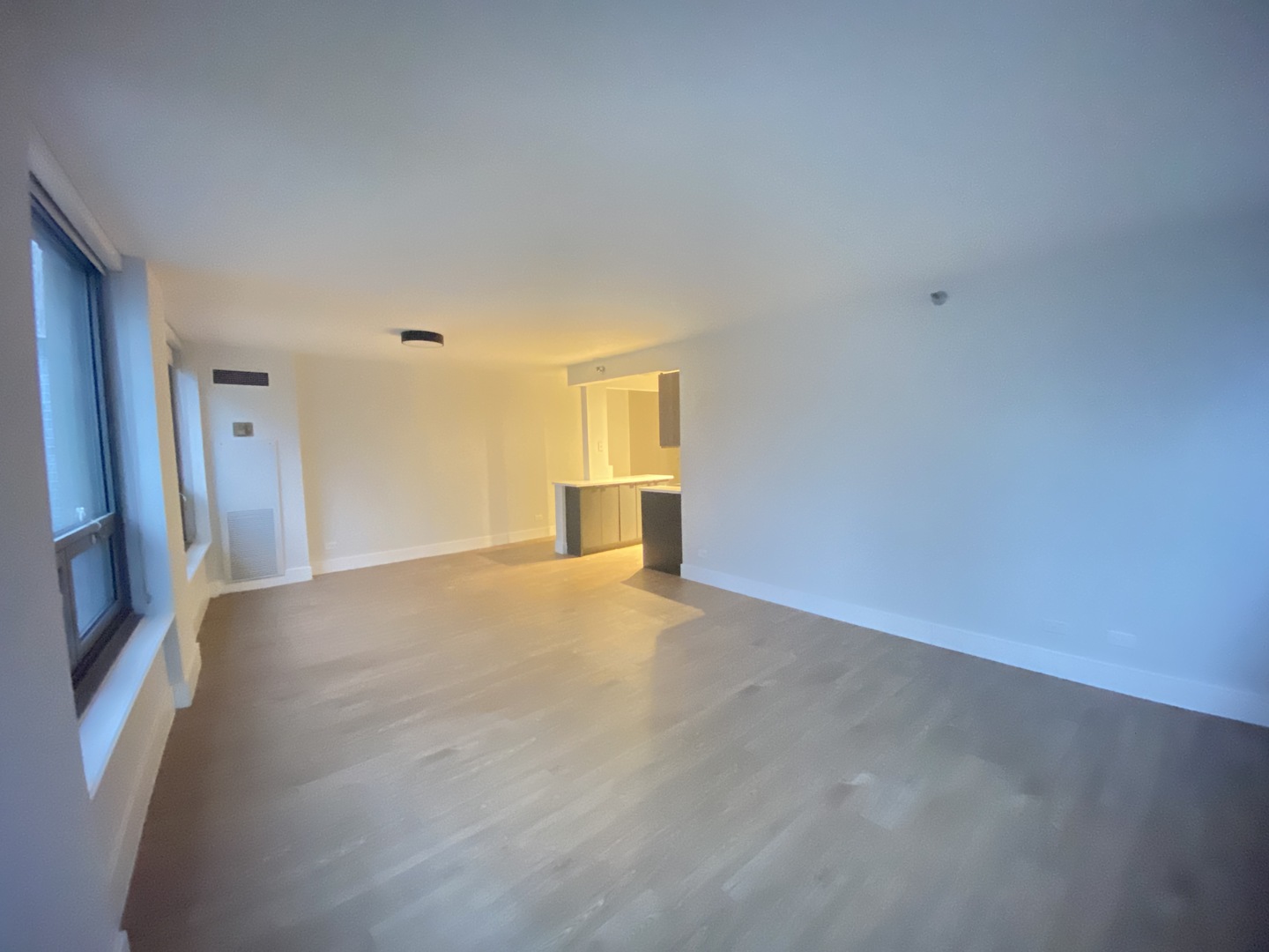 Undisclosed Address Chicago, IL 60611 - Photo 5 of 15 a view of empty room with window and wooden floor