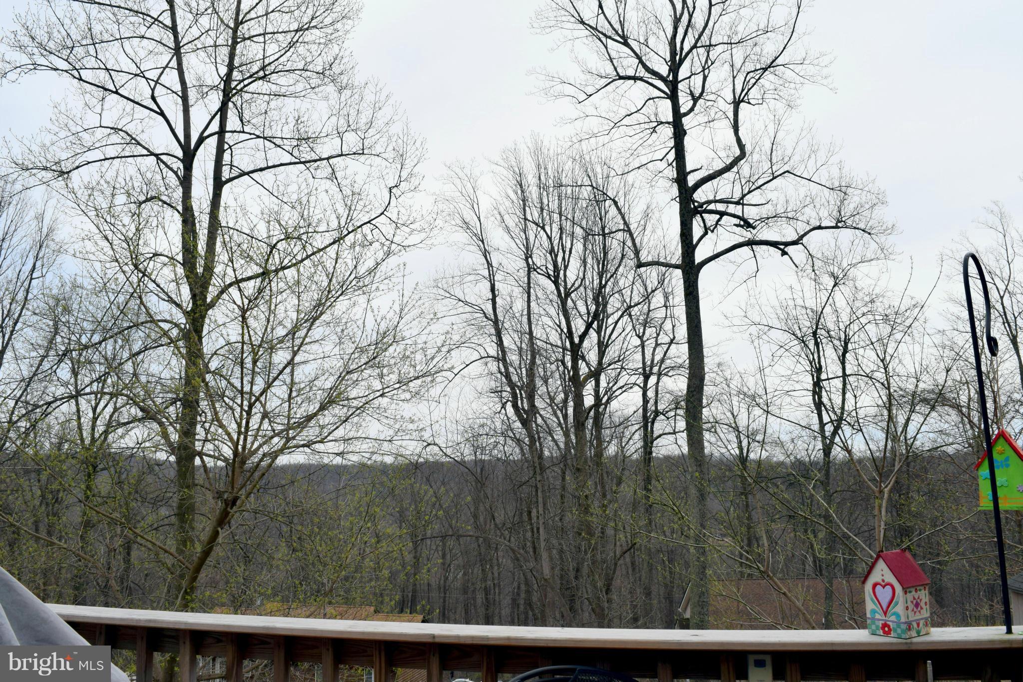 2746 High Top Road Linden, VA 22642 - Photo 2 of 30 View