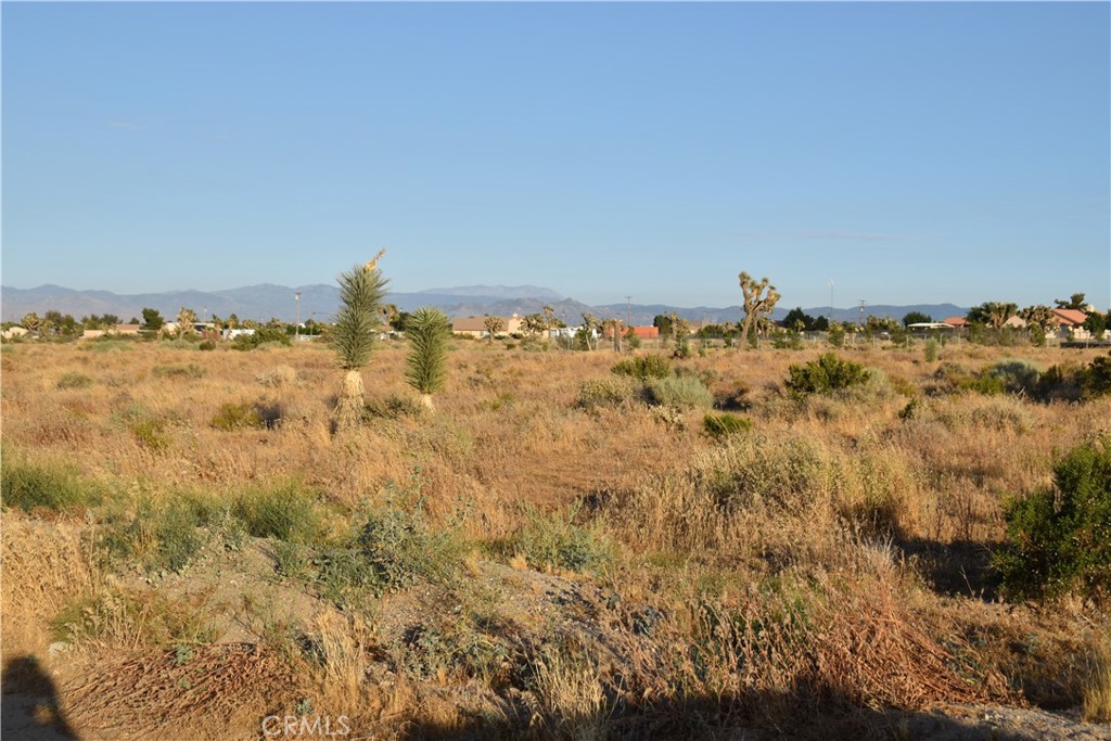 0 Joshua Road Victorville, CA 92392 - Photo 3 of 3 Representation of area only buyer to verify actual parcel