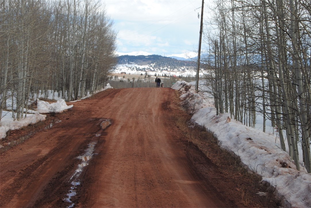 507 Lumberjack Road Fairplay, CO 80440 - Photo 19 of 27 Gallery Image 19