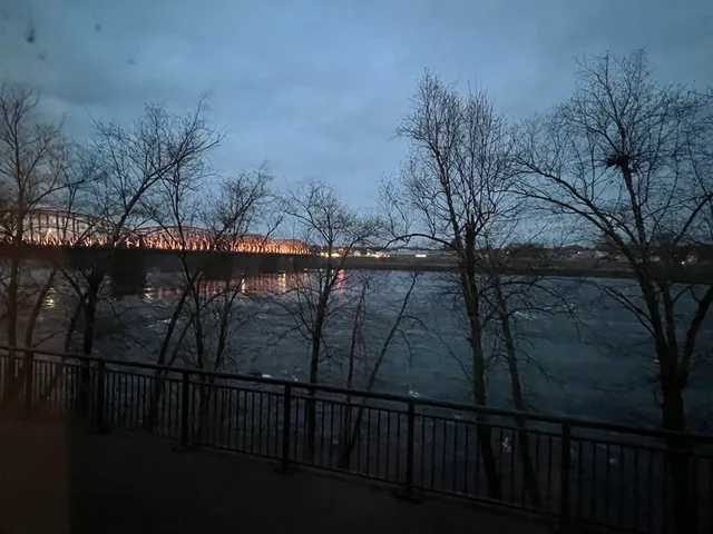 a view of a roof with a tree