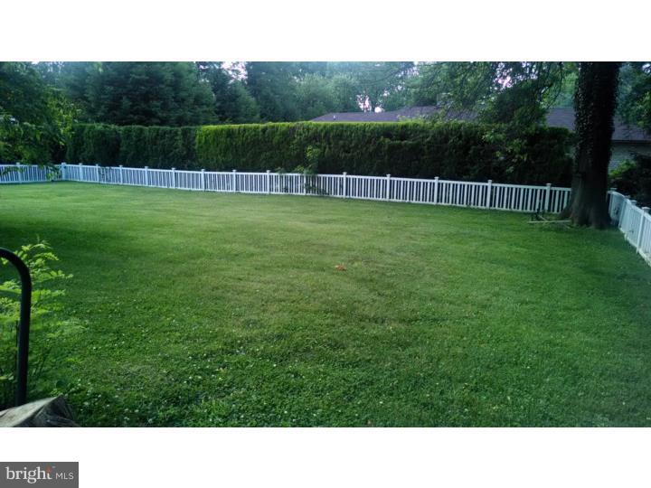 409 North Tulpehocken Road Reading, PA 19601 - Photo 2 of 19 Back Yard