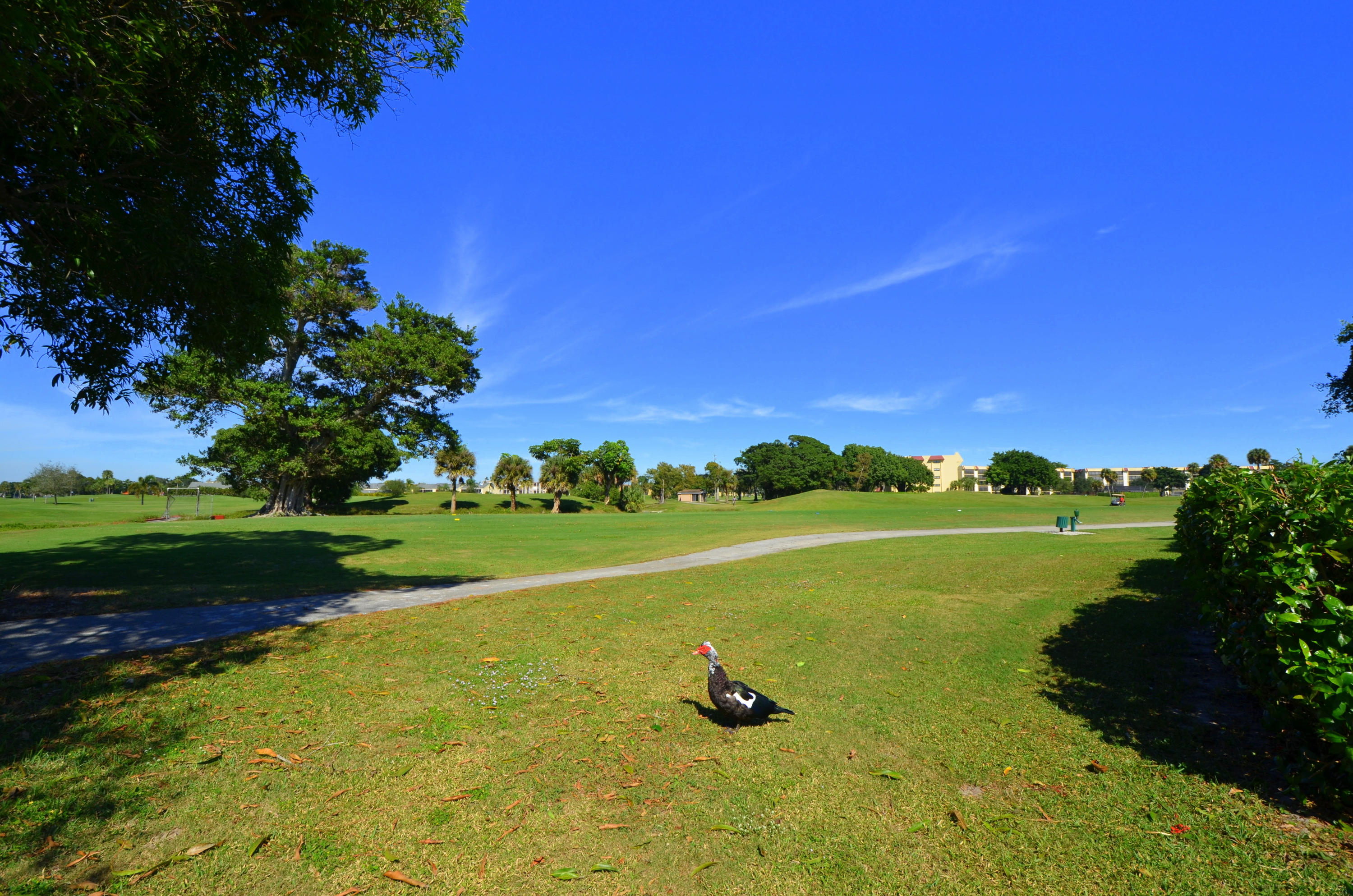 9351 Southwest 16th Street Boca Raton, FL 33428 - Photo 29 of 33 Golf view