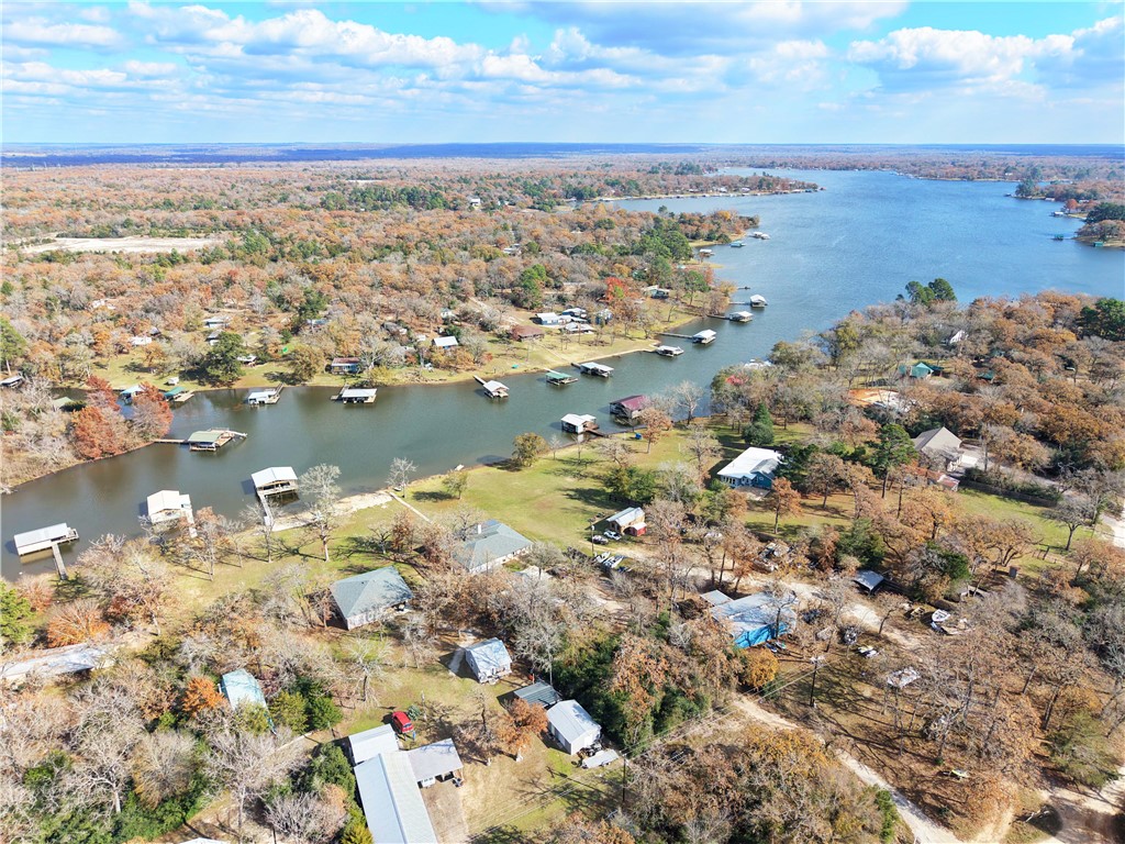 9462 Riley Green Road Franklin, TX 77856 - Photo 39 of 45 a view of lake view and mountain view