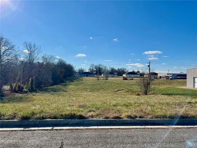 $50,000 | Lot 3 East Park Lane, Odessa, MO 64076