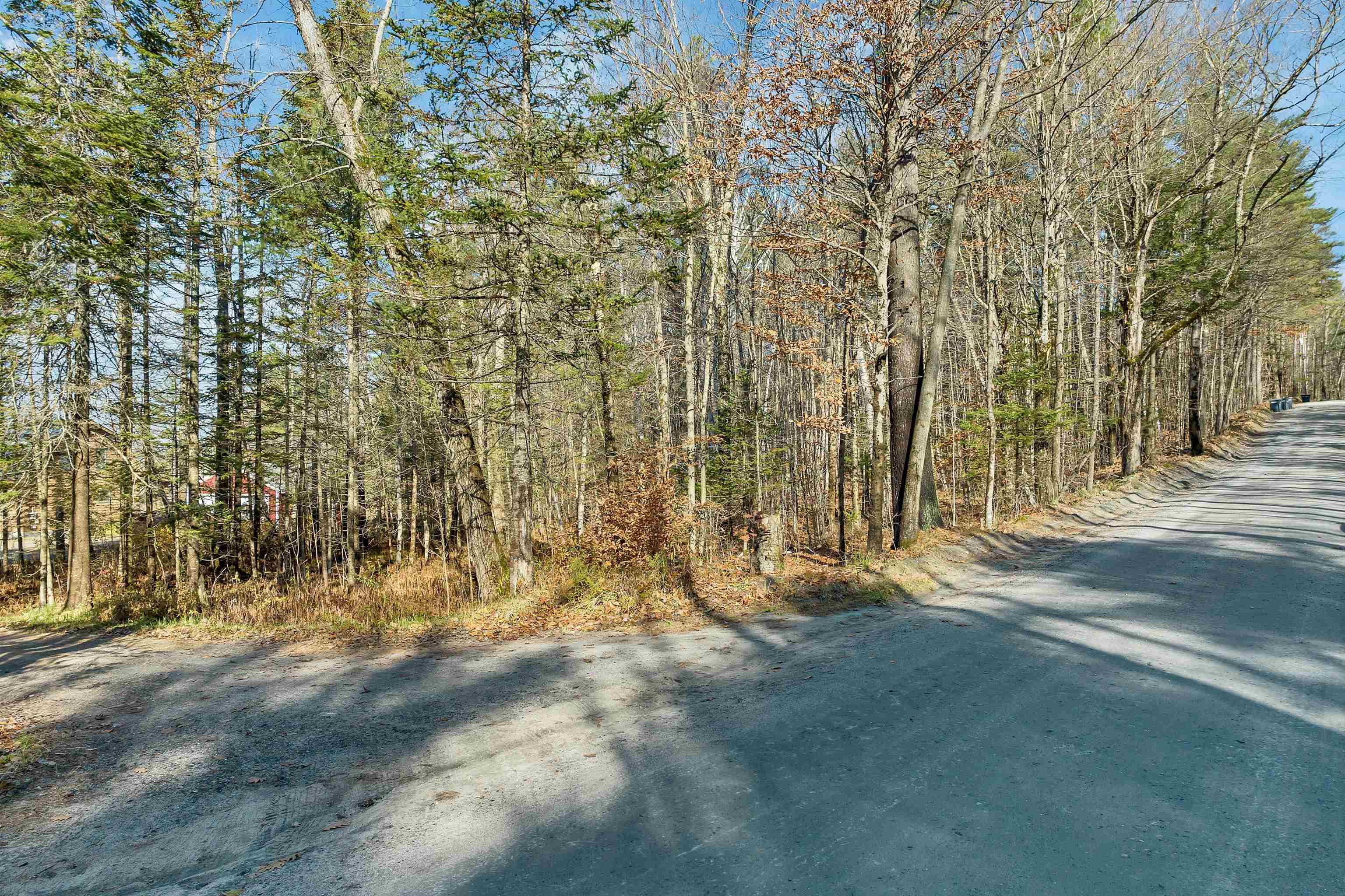 159 Choate Road Enfield, NH 03748 - Photo 4 of 43 Gallery Image 4