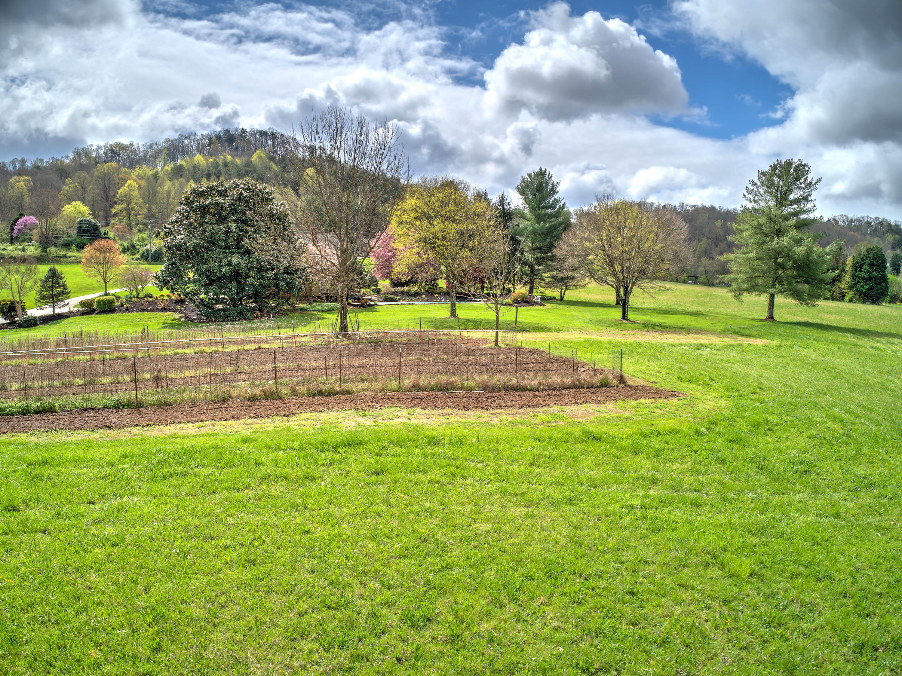 1315 Brushy Valley Road Heiskell, TN 37754 - Photo 3 of 40 3-1315 Brushy Valley Rd-18