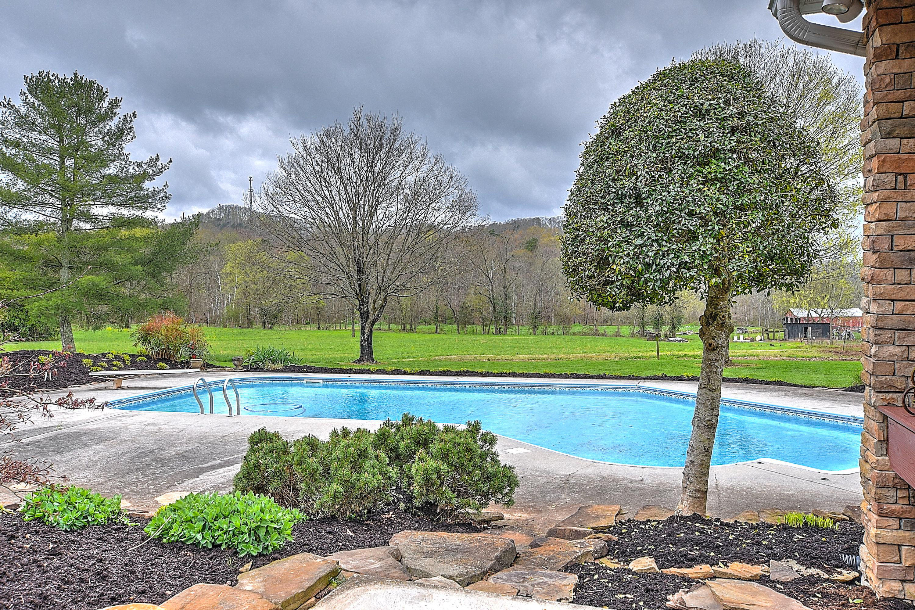 1315 Brushy Valley Road Heiskell, TN 37754 - Photo 30 of 40 30-1315 Brushy Valley-70