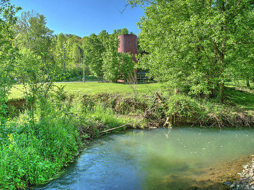 1315 Brushy Valley Road Heiskell, TN 37754 - Photo 4 of 40 4-1315 Brushy Valley Creek