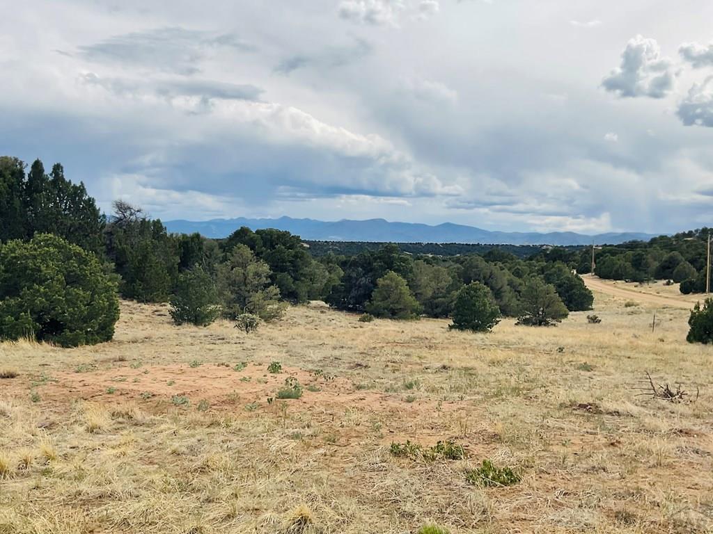 Lot 17 Navajo Ranch Walsenburg, CO 81089 - Photo 5 of 26 a view of a dry yard covered with snow