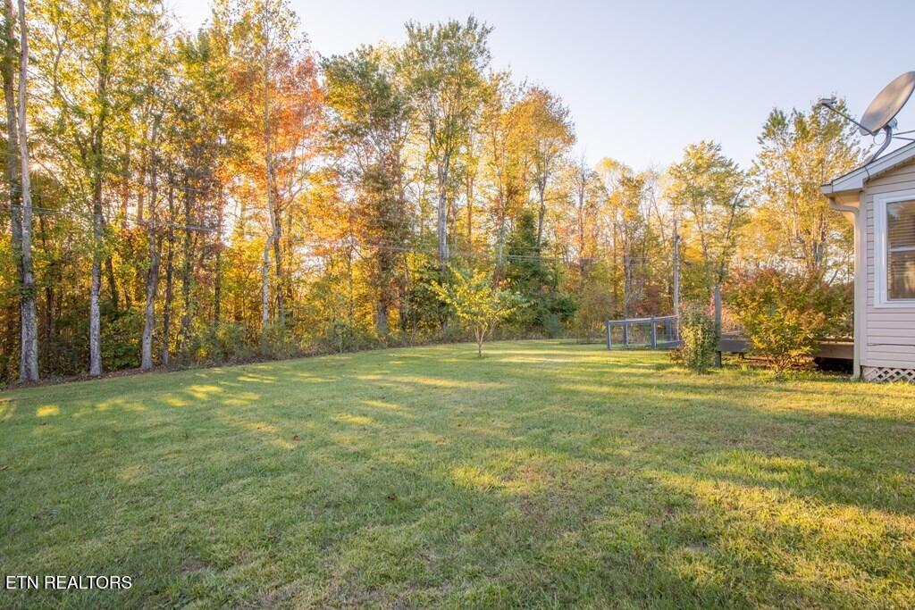 344 Meadows Road Sparta, TN 38583 - Photo 31 of 32 231431_30