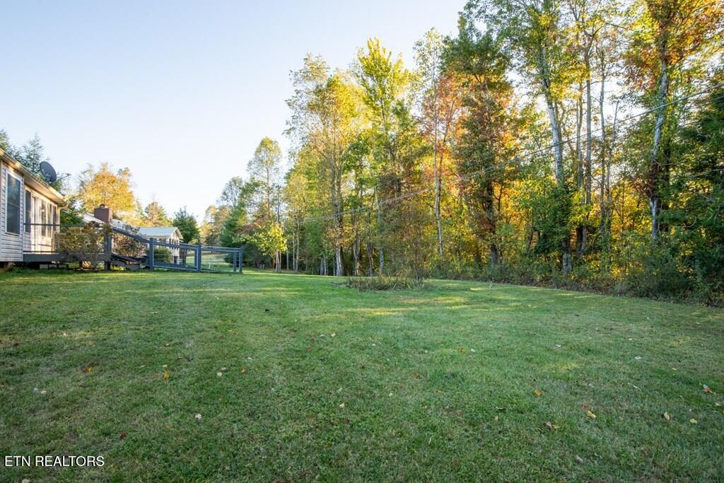 344 Meadows Road Sparta, TN 38583 - Photo 32 of 32 231431_31