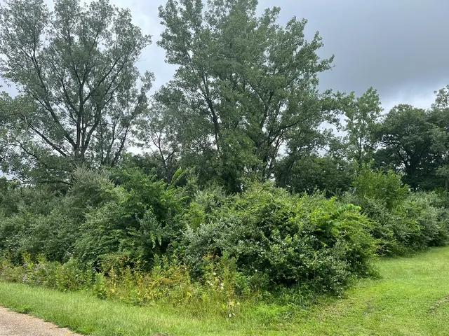 an aerial view of residential house with outdoor space and trees all around