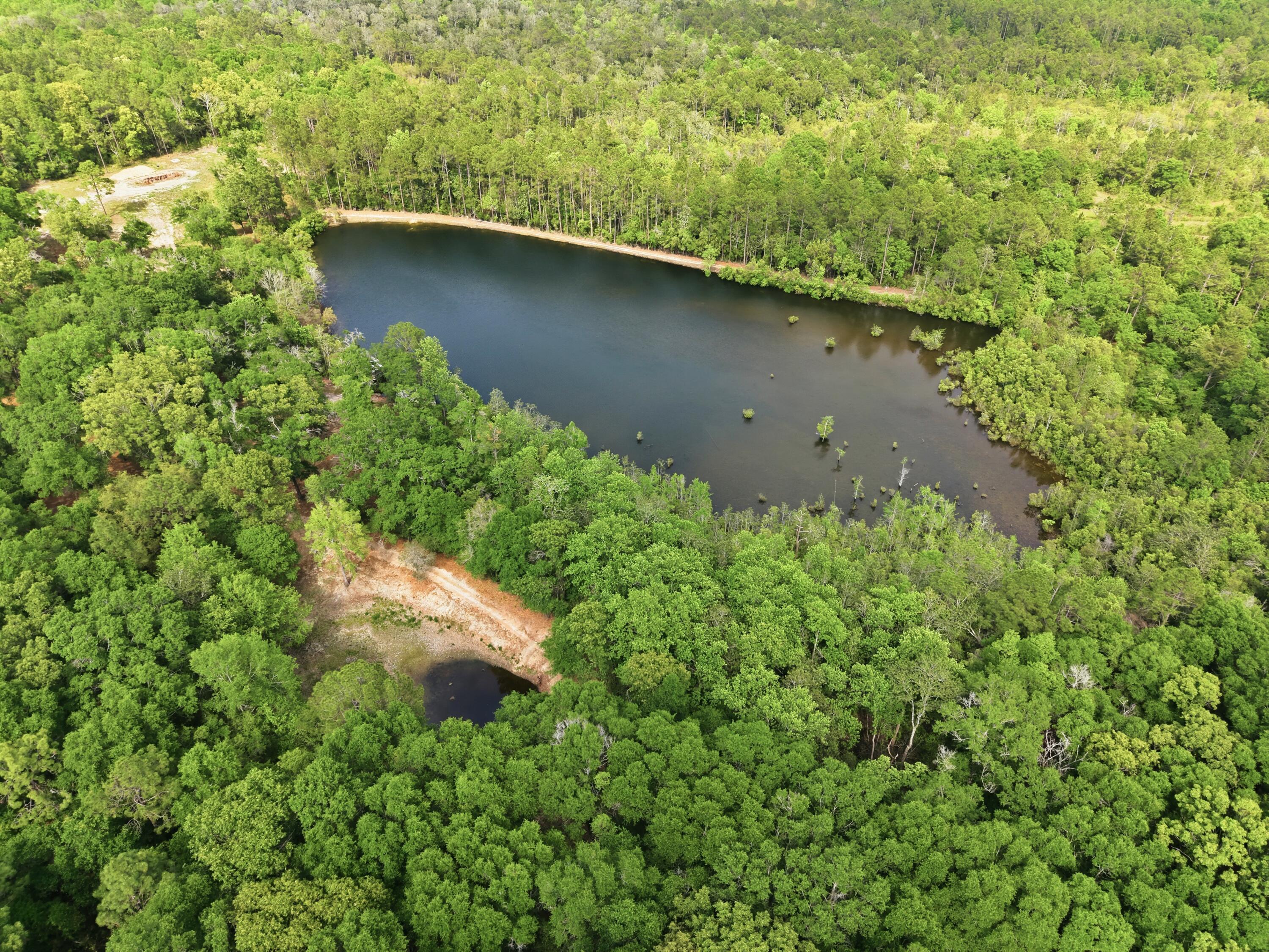 261 Wilkerson Road DeFuniak Springs, FL 32433 - Photo 10 of 76 DJI_20260429153329_0027_D