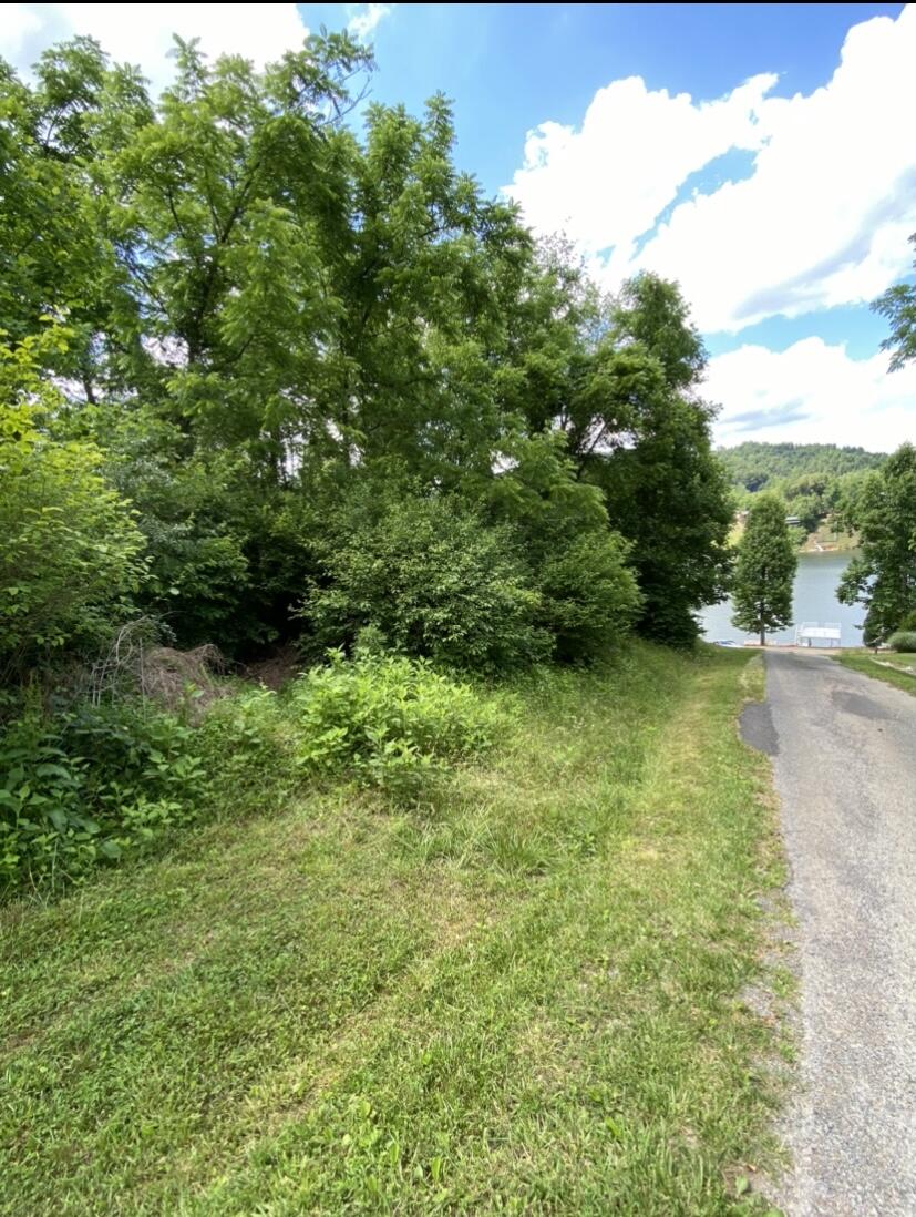 Tbd Norris Road, Unit 67 Butler, TN 37640 - Photo 1 of 12 Road Beside the Lot