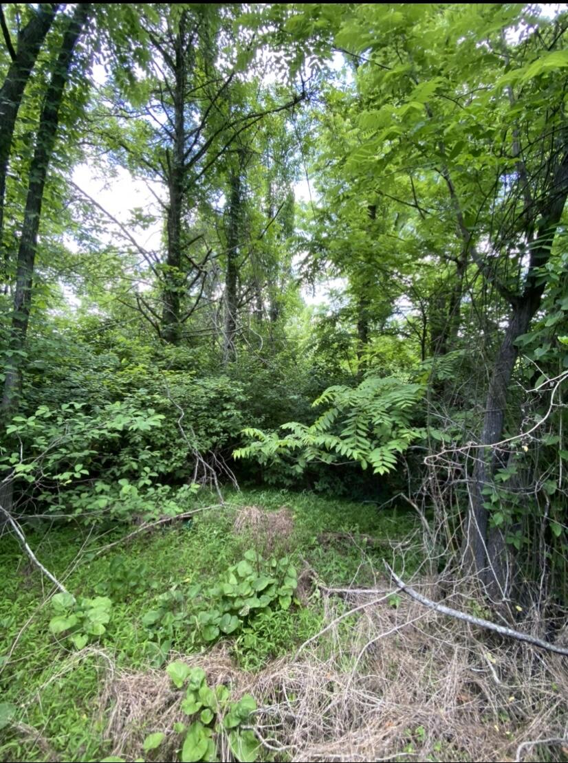 Tbd Norris Road, Unit 67 Butler, TN 37640 - Photo 11 of 12 On Property